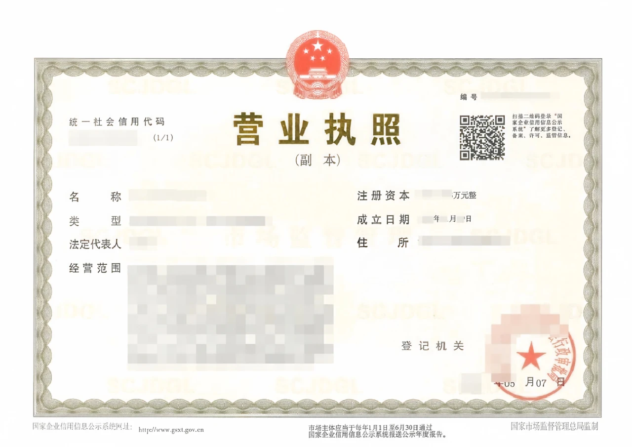 A Chinese business license (duplicate copy) with the identifying fields redacted, showing where the Unified Social Credit Code, company name, company type, legal representative, registered capital, establishment date, registered address, business scope, and registration authority appear on the document.