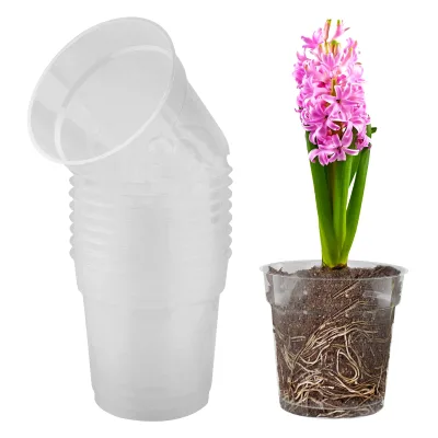 Factory Supply 12cm Orchid Pot Transparent Flower Orchid Pot Durability Longevity Orchids Plastic Pot with Holes