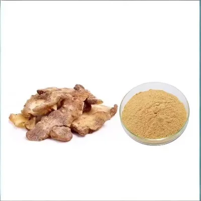 Polygonatum Root Extract Powder