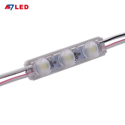 Mini 12V DC LED Module with 2 LEDs 0.48W Ultra-Thin Light Box for Signs IP66 Dimmable 5-Year Warranty