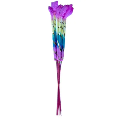 Morning Glory Hand Hold Sparkler Fireworks for Wedding New Year Christmas