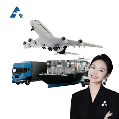 AJF Express Shipping Agent for LCL/FCL Sea Freight from Zhejiang Ningbo/Shenzhen to USA/Canada Amazon FBA Service