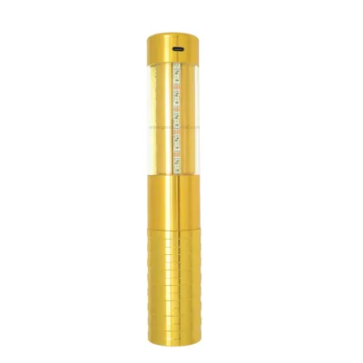 champagne Bottle Led Lights holiday light