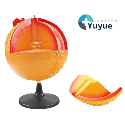 Sun Structure Teaching Model, 3D Solar Internal Layers & Features Demonstration Aid for Astronomy Education