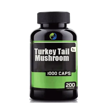 Private Label Organic Turkey Tail Mushroom Extract Brain Supplement Turkey Tail Mushroom Capsules