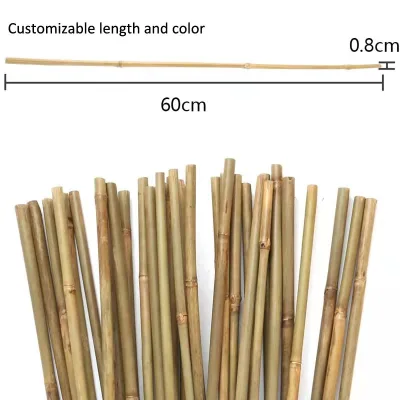 China Factory Direct Supply Raw Material Bamboo Poles Stake Sticks for Gardening