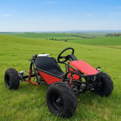 New Arrival 212CC Four Stroke Steering Wheel Fuel Go Kart 8 Inch Flame Tire Heavy Duty Off Road Vehicle for Scenic Spot Ranch