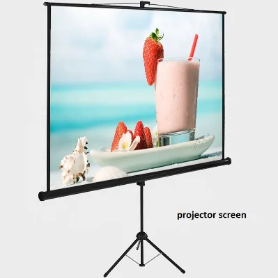Portable Projector Screen