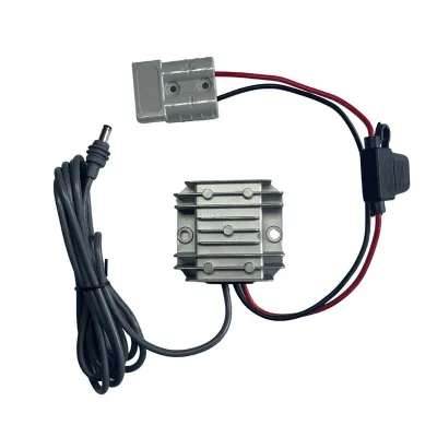 Customized Starlink Mini DC Power Cable 12V to 30V 48V Converter Single Phase 50/60Hz for Socket 5.5x2.1mm Connector Fuse