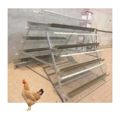 Capacity 128 Chicken Layer Cage with Full Set Drinking Water System HJ-AC128