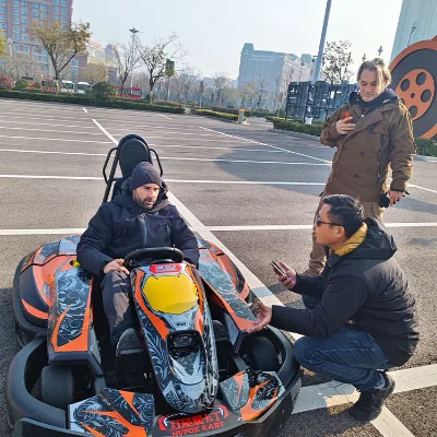 Factory Direct Sale Electric Racing Kart Go Karts Customizable Wheel Shaft Drive Mode