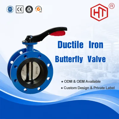 OEM Good Price Flanged Butterfly Valve DN100 PN16 Resilient Seat Concentric Butterfly Valve With Manual
