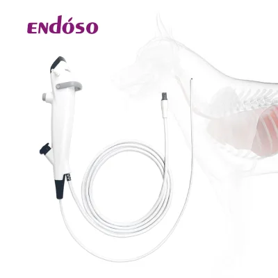 Versatile Small Animal Endoscope 5.3mm X 600mm with Instrument Channel for Gastroscopy Colonoscopy Cystoscopy Examinations