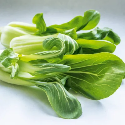 Pak Choi Chinese Mustard Cabbage Eco-Friendly Plant Fiber Vegetable Garden Sow Packet Plant Kit Organic Sow-Farmhouse Design