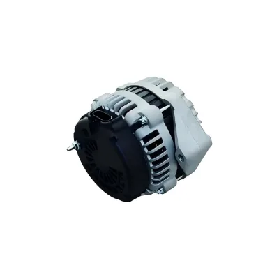 cheap alternator generator 220v to generate electricity