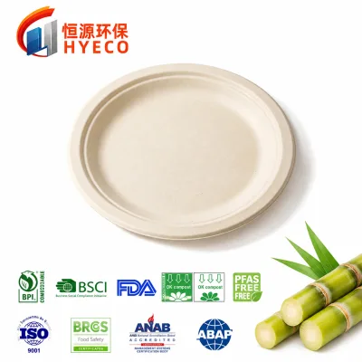 Hengyuan Multi Size 6" 7" 9" 10" Sugarcane Bagasse Plates Disposable Biodegradable Tableware for Catering