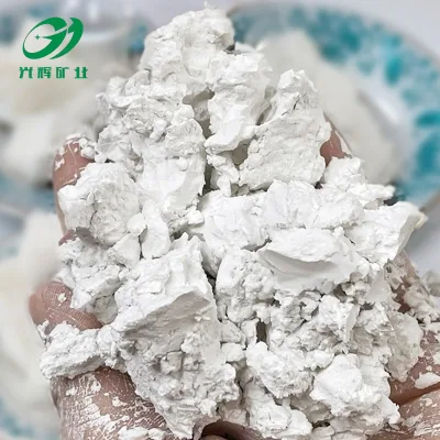 Horticultural Grade Diatomaceous Earth for Plants Growing Regulator