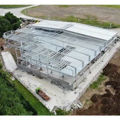 High Quality Big Metal Building Plans Construction Steel Warehouse With Design