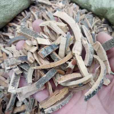 Qin Pi Raw Dried Fraxinus Chinensis Barks Chinese Ash Bark for Sale