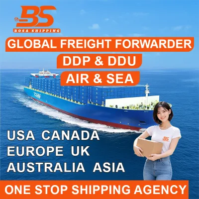 LCL Freight Forwarder DHL/FEDEX/UPS DDP FBA Shipping Company Ningbo France Mexico UK Japan Secure Shipping Service Cheap Rates