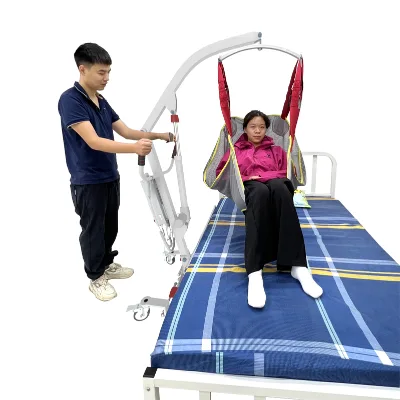 Electric Patient Lift Portable Transport Toilet Assistant Lift