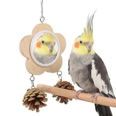 Parrot Self-Entertainment Toy Special Stress Relief Rattan Ball Pinecone Bird Toy Supplies Swing Bird Decoration Bird Supplies