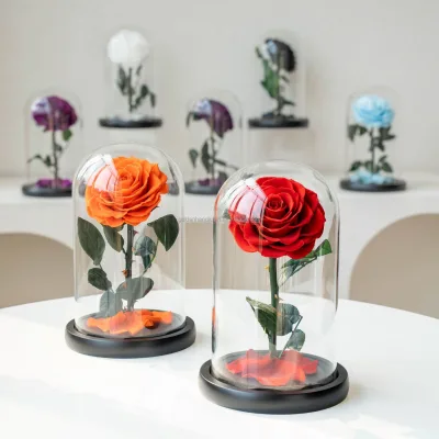 High Quality Preserved Plastic Forever Rose Eternal Galaxy Rose LED-Lit Glass Dome for Mother's Day Easter Christmas Halloween