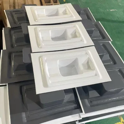 Factory-Supplied Custom Cost-Effective ABS Plastic Panel Thick Vacuum Forming Service for Decorative