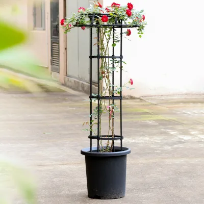 Irregular Splice Climbing Plant Support Tower Tomato Cage Frame for Potted Flowers Bonsai Vine Garden Balcony Trellis