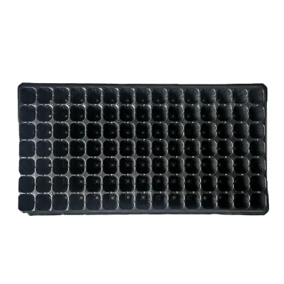 Quality Manufacture of Plastic Growing Trays Sophisticated Technology Inagriculture
