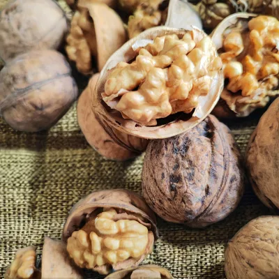Wholesale 185 Walnuts and Kernels Quality Chinese Nut in Bulk Sweet Tasted Dried Kernels With AD Drying Process