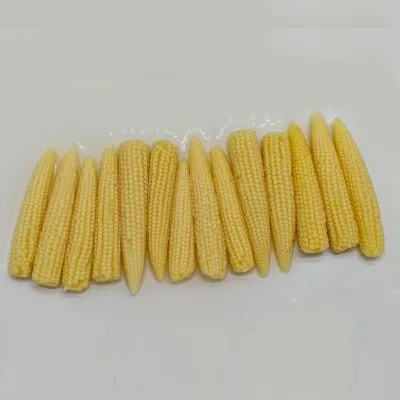 Vinegar Flavored Crispy Young Corn Cob Appetizer Ideal for Bar Pub Snack Cold Platter and Family Dinner Baby Corn in Vinegar