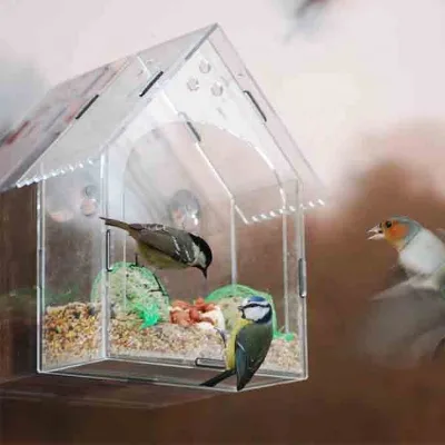 Pet Feeder Rectangle Clear Acrylic Window Bird Feeder with Strong Suction Cup