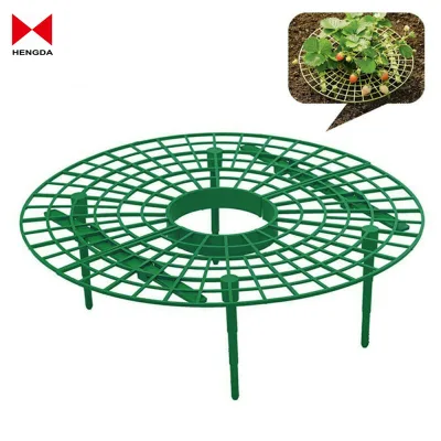 5 Pack Strawberry Plant Supports with Legs for Keeping Fruit to Avoid Ground Rot