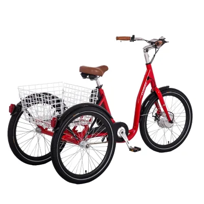 China Electric Tricycle  Etrikes 24 Inch 3 SP with Rear Basket Adult Cargo Bike for Sales