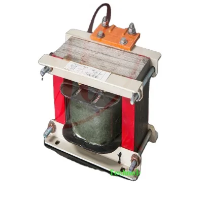 1000 Watt High Quality Electronic Ballast for Uv Lamps