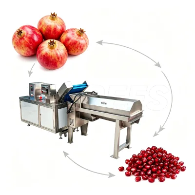 Advanced Pomegranate Seed Extraction System for Food Processing Plants