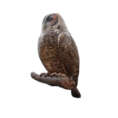2024 Hot Sale Giant Inflatable Owl, Large Inflatable Owl for Advertising