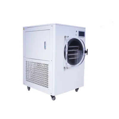 Home Use 10kg Mini Vacuum Freeze Dryer Froze for Sale