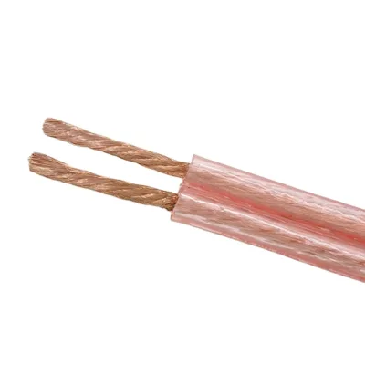 Speaker Cable 100ft Oxygen-Free Copper (OFC) for Home Theater/PA System