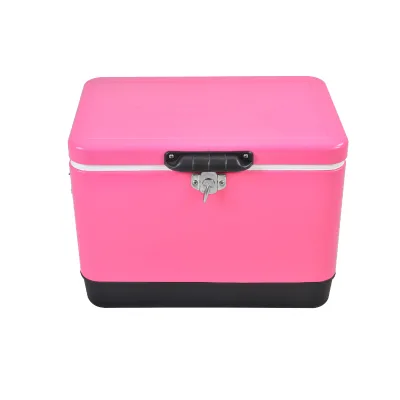 Ice Box 30L  50L Plastic Portable Outdoor Camping Ice Chest Cooler Medical Vaccine Transport Cooler Box