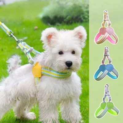 Striped Nylon Dog Harness and Leash Set-Breathable Padded Breakaway Vest for Sport and Fashion