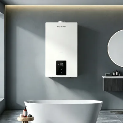 24KW Combi Gas Boiler Segmented Plate Heat Exchanger Non Condensing WIFI Control Low Noise 45db Heating Hot Water Use Boiler