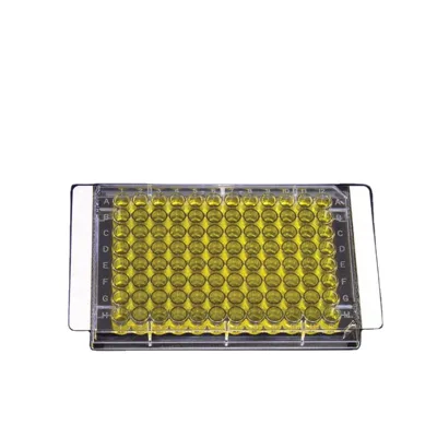 96 Well PCR Sealing Film Adhesive Elisa Film for Microplate Lab Use