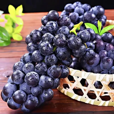 Wholesale High Quality Seedless Red Globe Sweet & Delicious Grapes Grade a Brix 10-16 for Retail Markets Food Service Bulk Sales