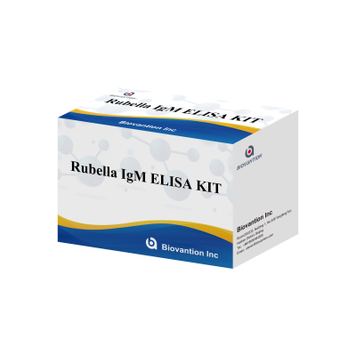 Rubella IgG ELISA TEST KIT
