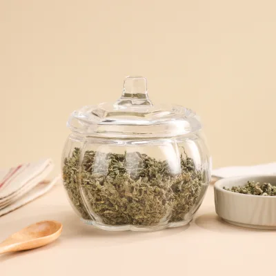 Clear Pumpkin Glass Storage Jar 582ml with Matching Lid Food Safe Container for Beans Tea Herb Grain Kitchen Pantry Storage