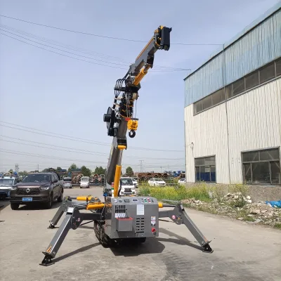 3 Ton Lifting Equipment Tower Mini Truck Crawler Crane 3ton Hydraulic Lifting Boom Spider Crane