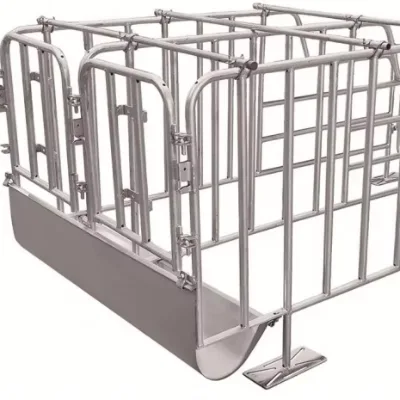 Sow Gestation Crate with Automatic System for Large-Scale Farms