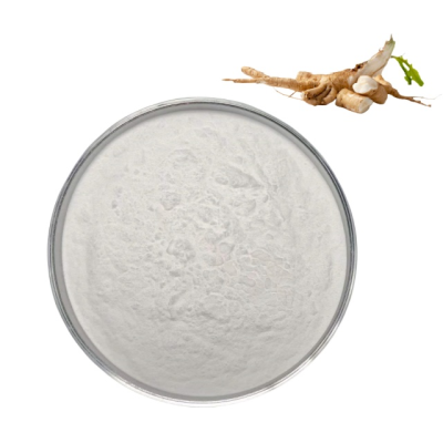 Wholesale High Quality Natural Jerusalem Artichoke Extract 90% Inulin Powder